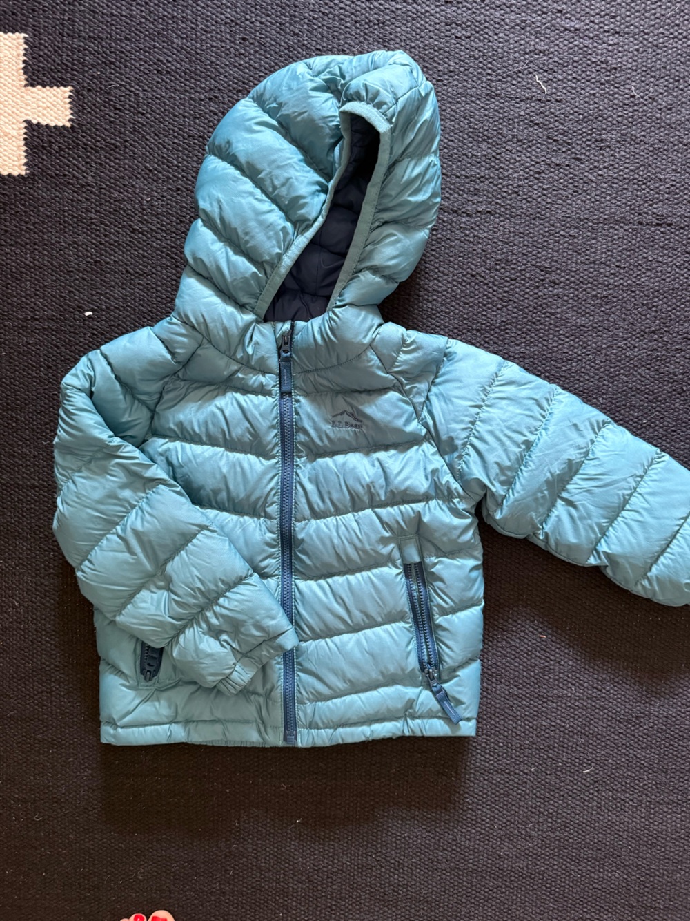 LL Bean Ultralight 650 Down Jacket